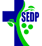 SEDP - MFI